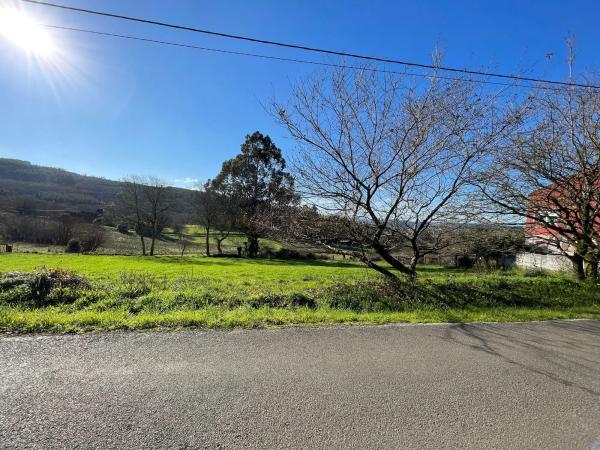 Terreno en Lugar Bando Arriba, 12