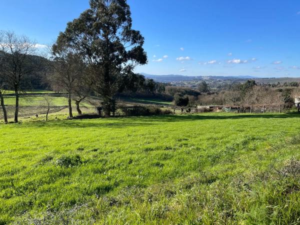 Terreno en Lugar Bando Arriba, 12