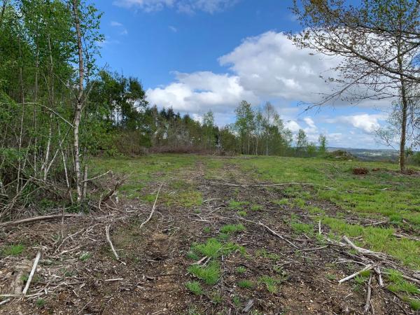 Terreno en calle Formaris, 31