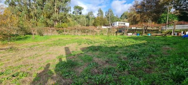 Terreno en Aldea Buceleiras