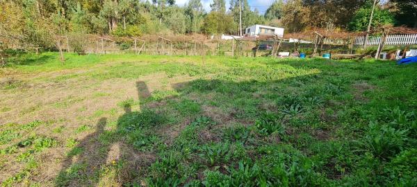 Terreno en Aldea Buceleiras