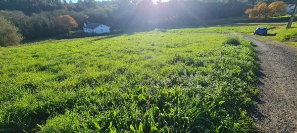 Terreno en Lugar Procelas