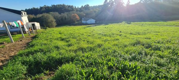 Terreno en Lugar Procelas