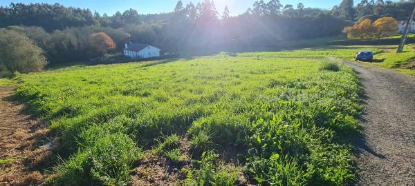 Terreno en Lugar Procelas