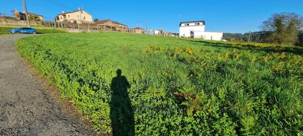 Terreno en Lugar Procelas