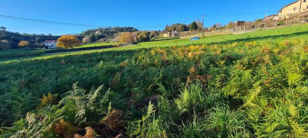 Terreno en Lugar Procelas