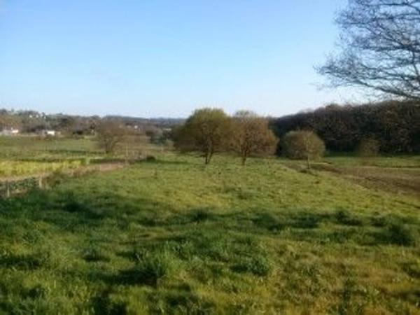 Terreno en Lugar Gunin