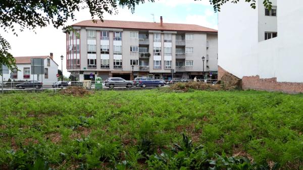 Terreno en avenida da Maía, 53