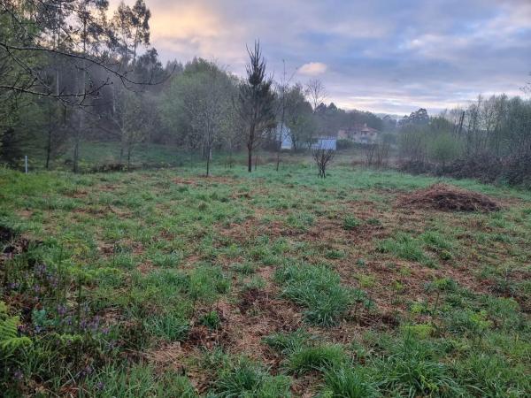 Terreno en Zona Os Anxeles