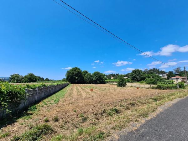 Terreno en San Miguel de Sarandón s/n