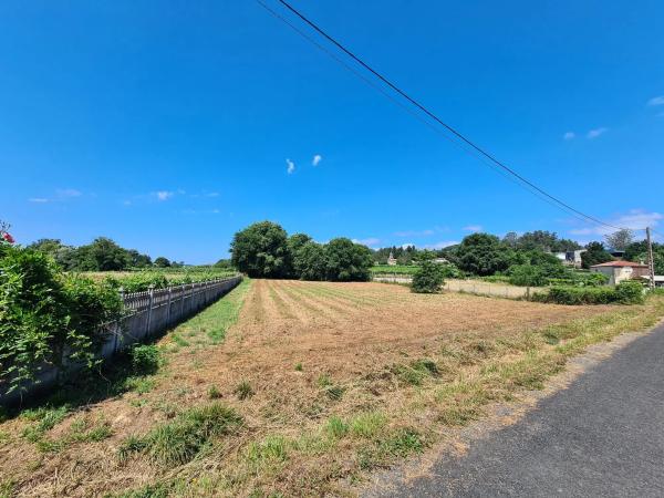 Terreno en San Miguel de Sarandón s/n