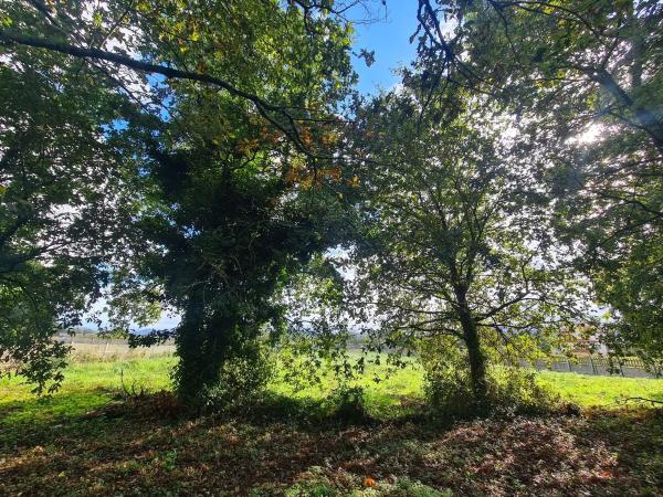 Terreno en San Miguel de Sarandón s/n
