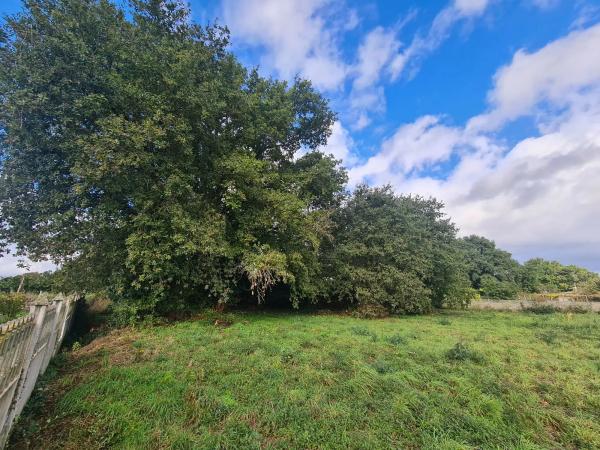 Terreno en San Miguel de Sarandón s/n