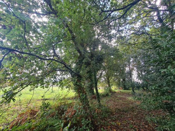 Terreno en San Miguel de Sarandón s/n