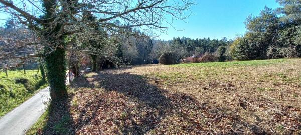 Terreno en trasmonte