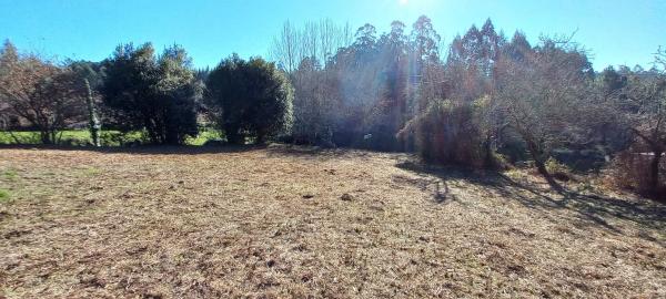 Terreno en trasmonte