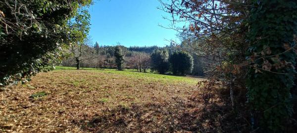 Terreno en trasmonte
