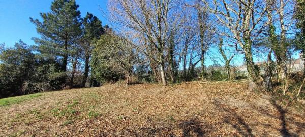 Terreno en trasmonte