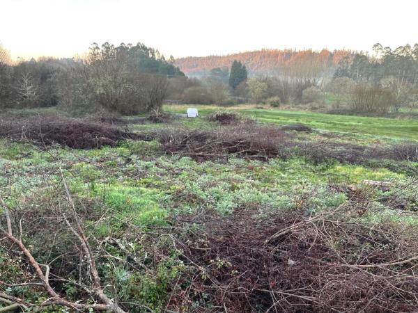 Terreno en Lugar Carballo s/n