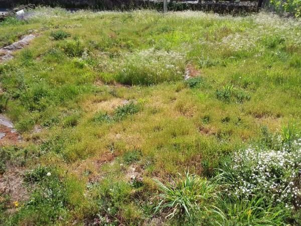 Terreno en Figueiras