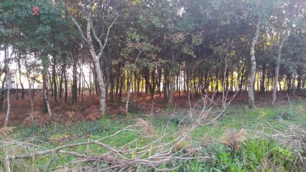 Terreno en Lugar Igrexa