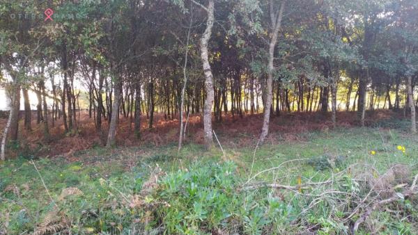 Terreno en Lugar Igrexa