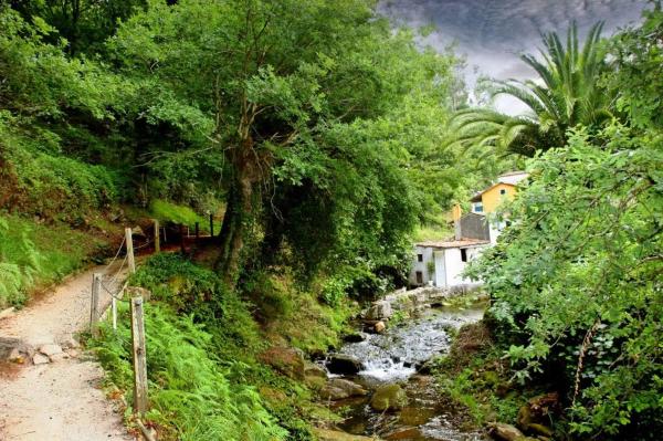 Terreno en calle Rueiro de Figueiriñas, 9