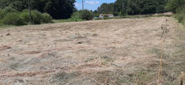 Terreno en Lugar Eirapedriña, 96