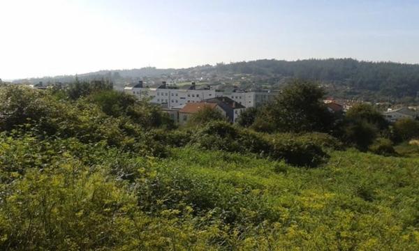 Terreno en calle de Lamas de Abade