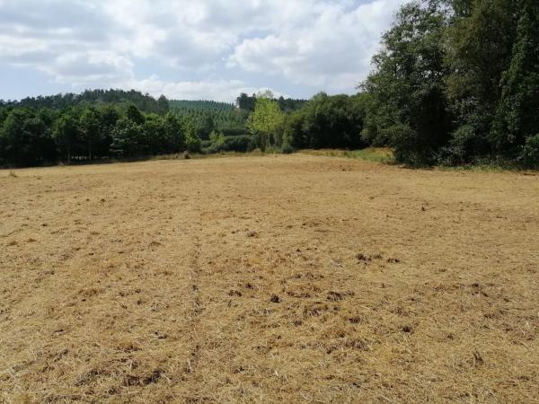 Terreno en Vilasuso s/n