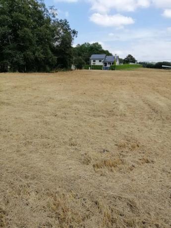 Terreno en Vilasuso s/n