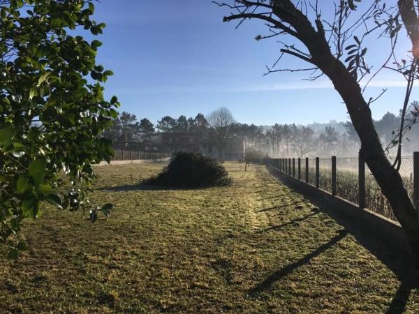 Terreno en calle noceda, 9