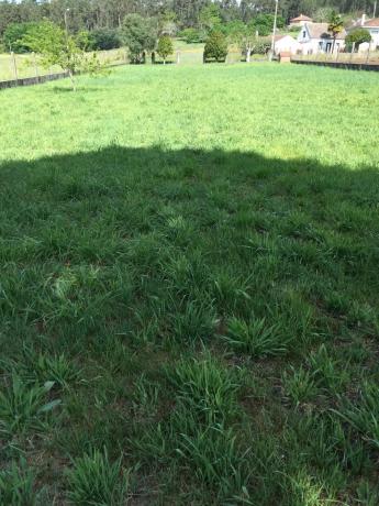 Terreno en calle noceda, 9