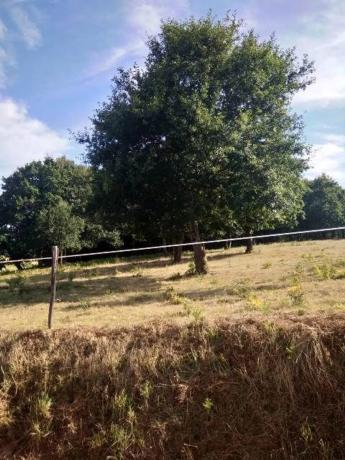 Terreno en Folgoso s/n