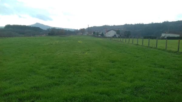 Terreno en carretera Lugar Lamas Vigo s/n