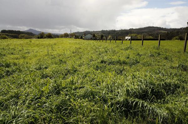 Terreno en carretera Lugar Lamas Vigo s/n
