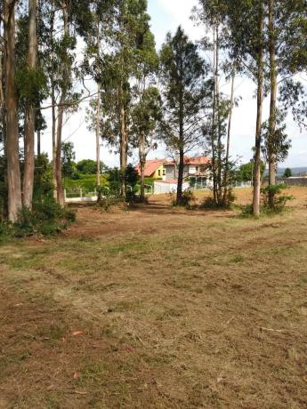 Terreno en camino dos Vilares, 237