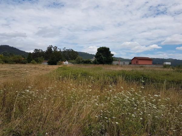 Terreno en Área de Ames