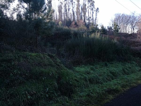 Terreno en Lugar Mouromorto, 13