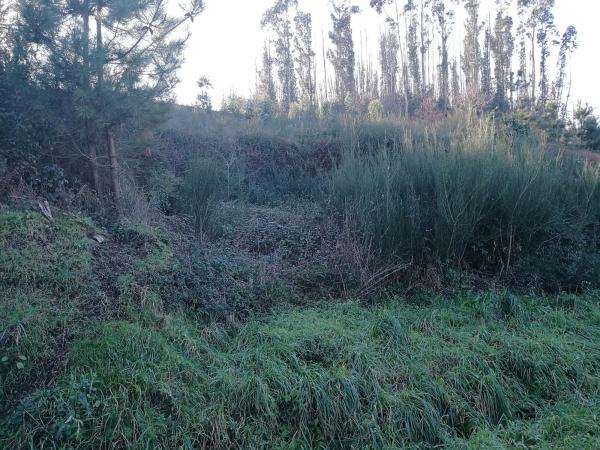 Terreno en Lugar Mouromorto, 13