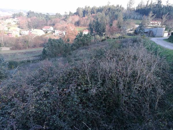 Terreno en Lugar Mouromorto, 13