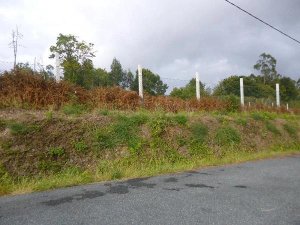 Terreno en cg-1.5, 1