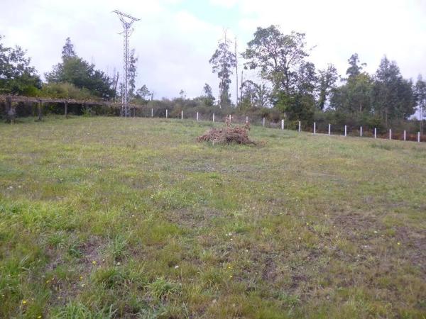 Terreno en cg-1.5, 1