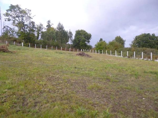 Terreno en cg-1.5, 1