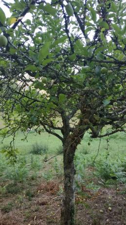 Terreno en soutelo s/n Soutelo