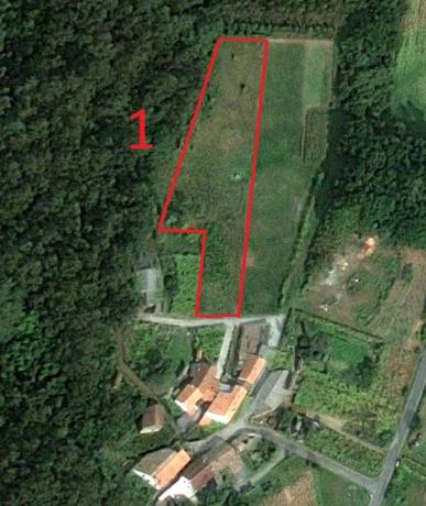 Terreno en soutelo s/n Soutelo