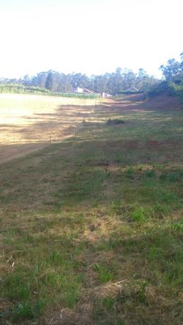 Terreno en soutelo s/n Soutelo