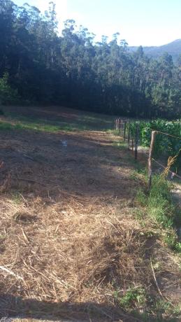 Terreno en soutelo s/n Soutelo