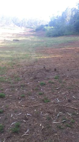 Terreno en soutelo s/n Soutelo