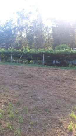 Terreno en soutelo s/n Soutelo